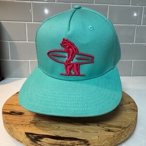 Everyday California Snapback Hat Surf Brutus Bear Seafoam Green Teal Pink